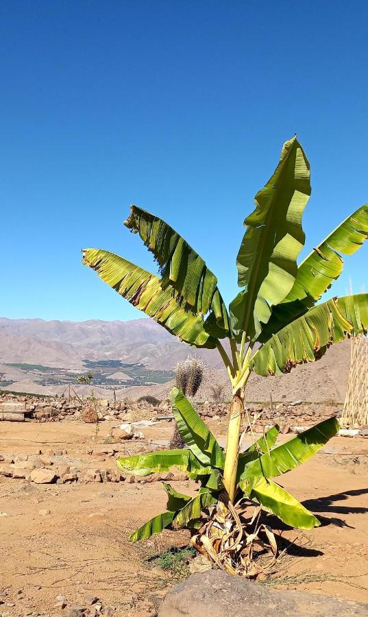 Campo De Cielo Mamalluca Valle De Elqui Vicuña 외부 사진