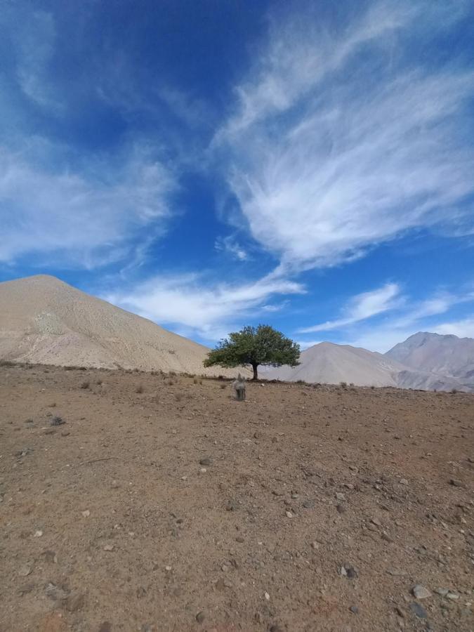 Campo De Cielo Mamalluca Valle De Elqui Vicuña 외부 사진